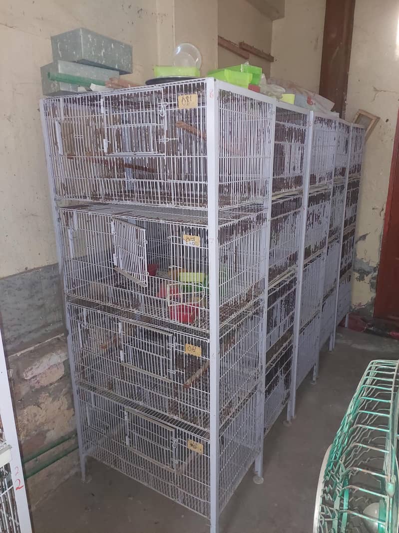 cages 1