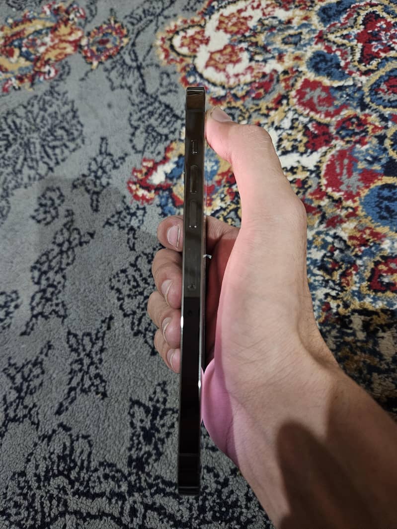 Apple iPhone 13 Pro Max 1