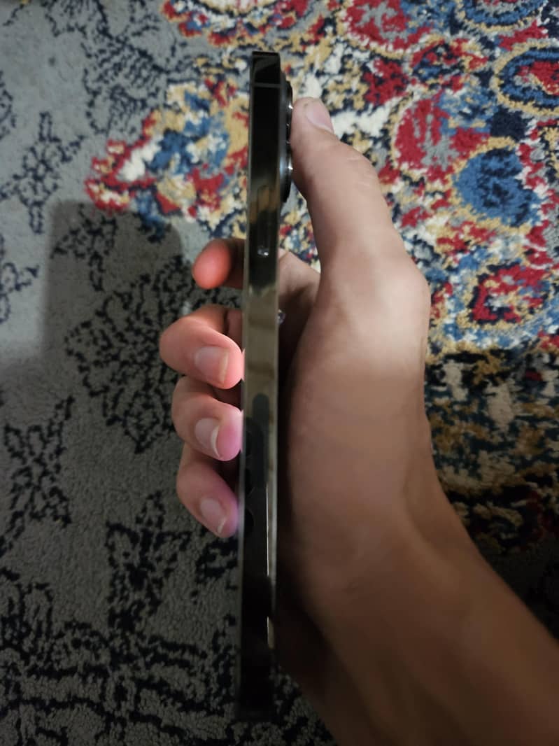 Apple iPhone 13 Pro Max 2