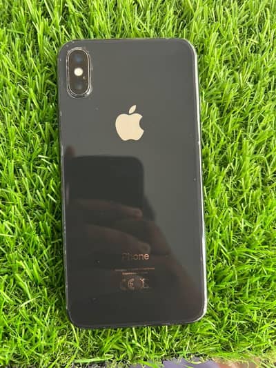 Apple iPhone X