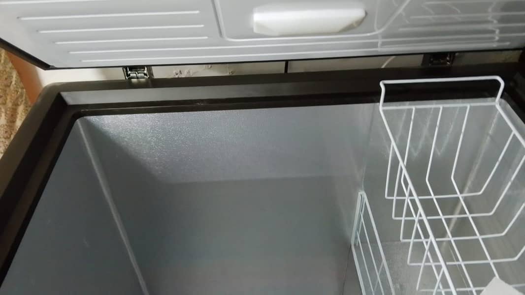 Deep Freezer 1