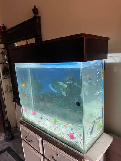 2.6 feet aquarium/ Read add