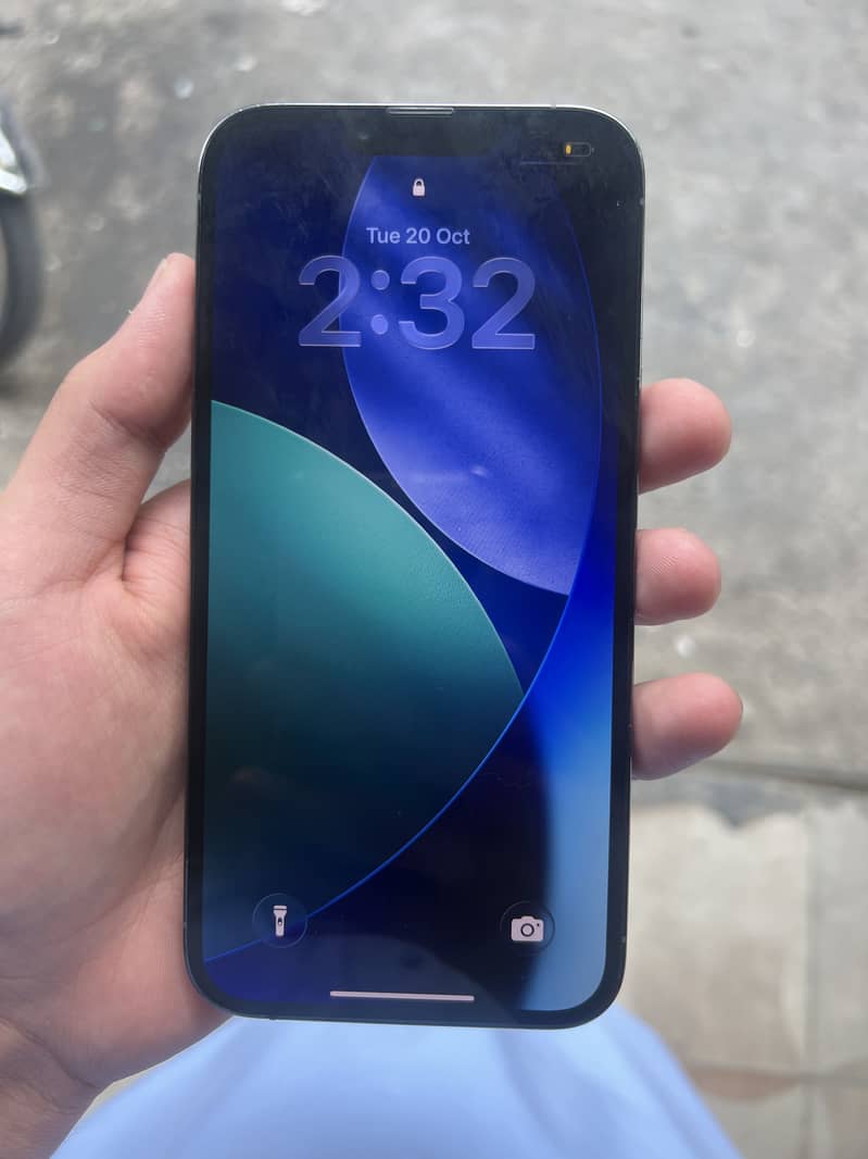 Apple iPhone 13 Pro Max 1