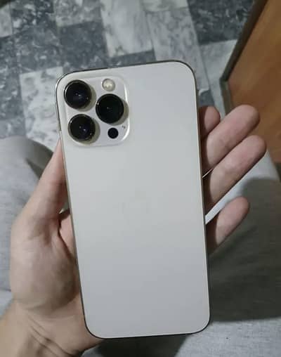 Apple iPhone 13 Pro Max
