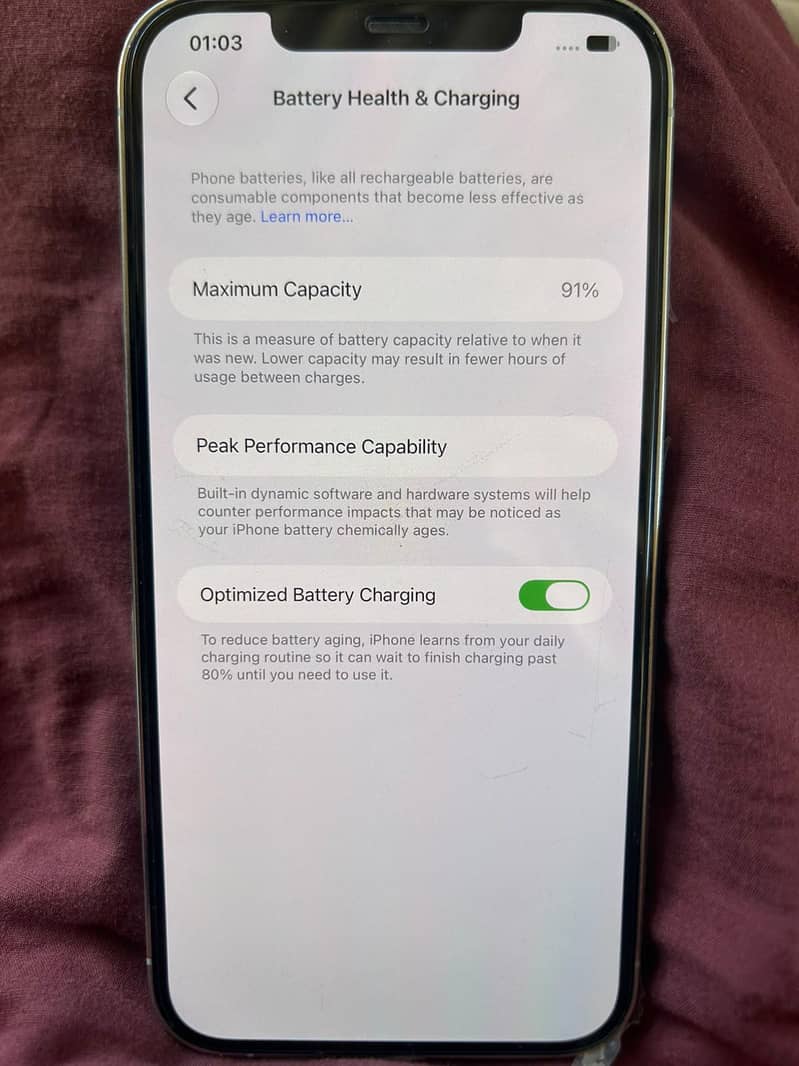 Apple iPhone 12 Pro Max 1