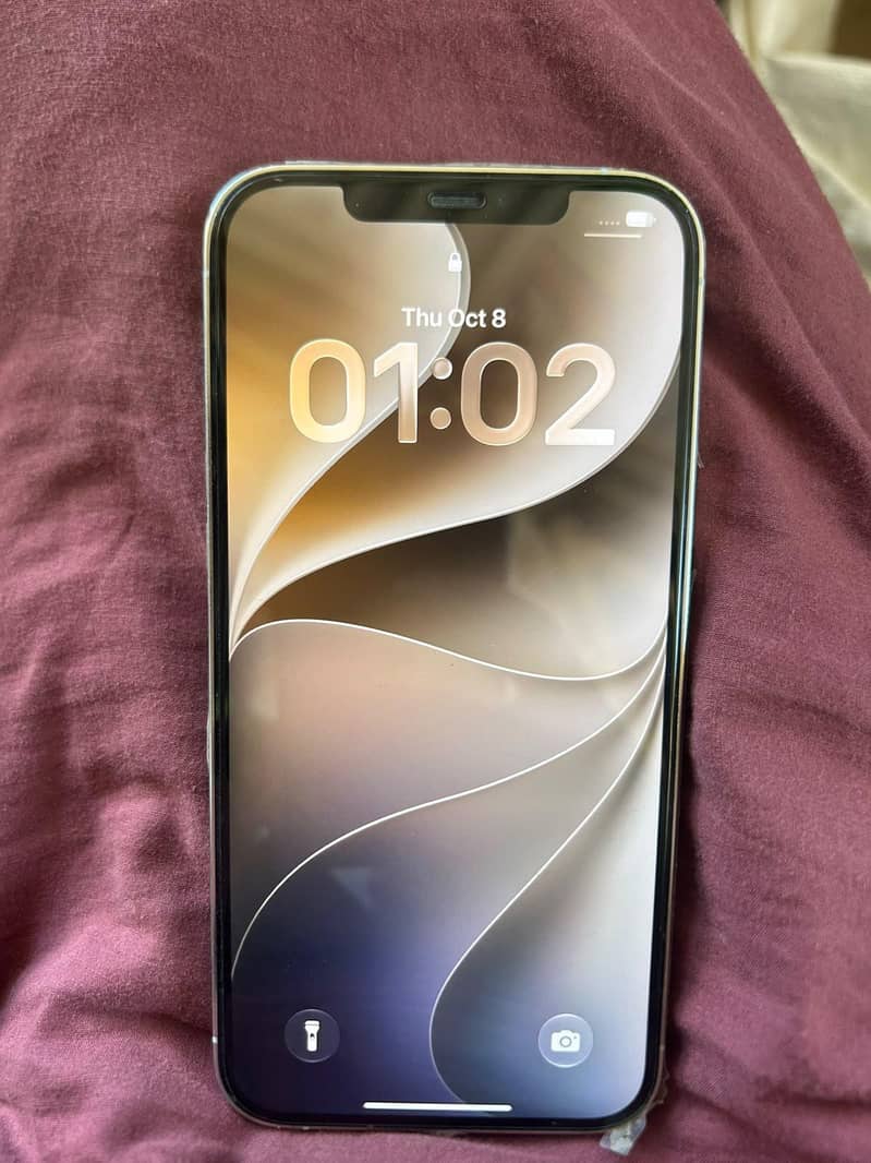 Apple iPhone 12 Pro Max 3