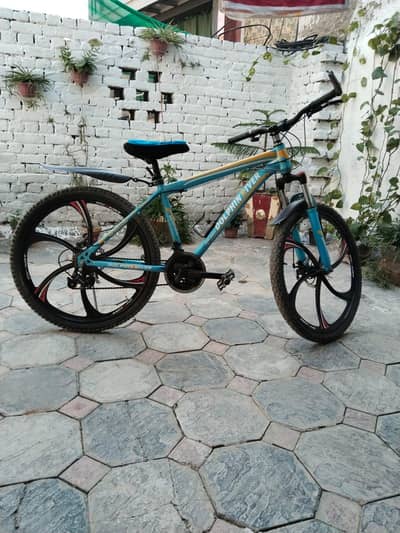 bicycle for sale , we maintained, original condition,