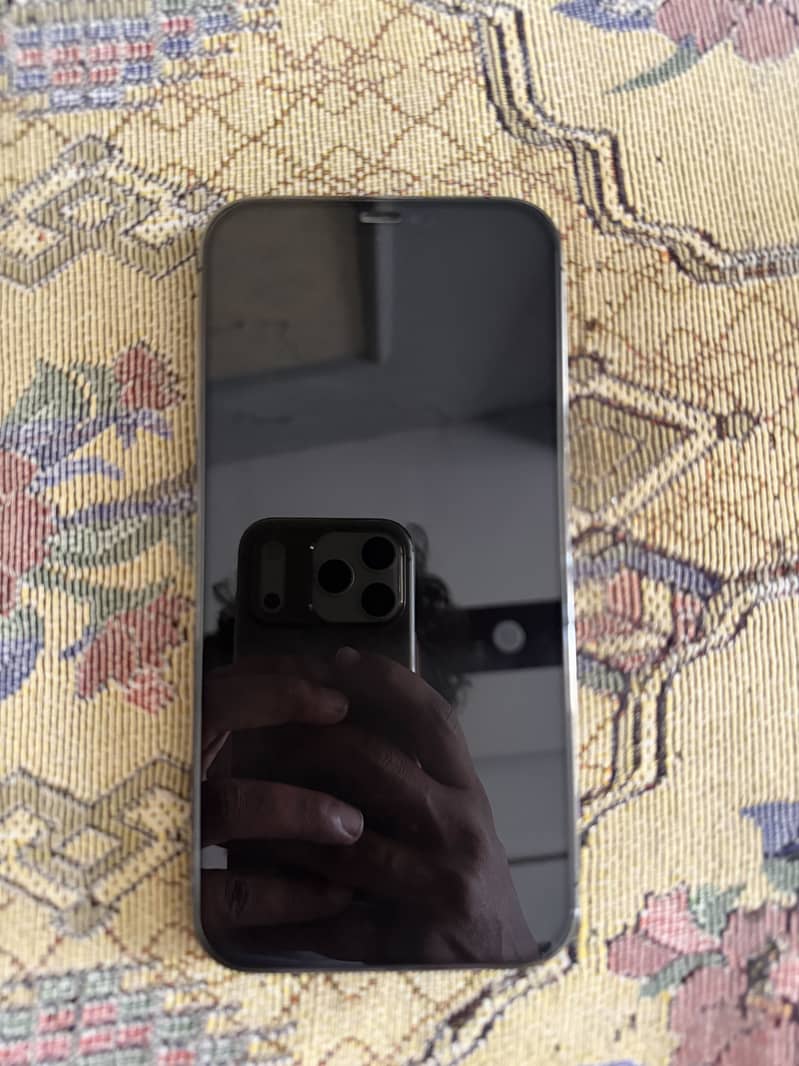Apple iPhone 12 Pro Max 2