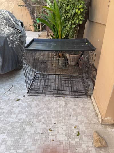 Large Heavy-Duty Metal Dog Cage with Removable Bottom Tray