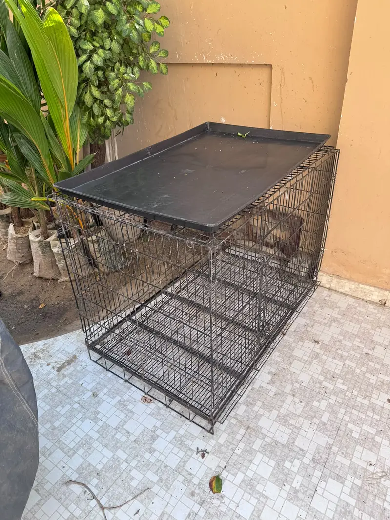 Large Heavy-Duty Metal Dog Cage with Removable Bottom Tray — photo 2