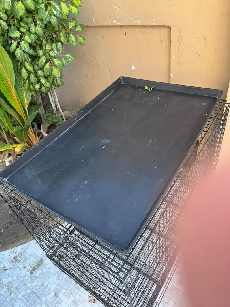 Large Heavy-Duty Metal Dog Cage with Removable Bottom Tray — photo 3