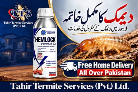 Termite | Deemak | Bedbugs Treatment Pest Control Fumigation Services