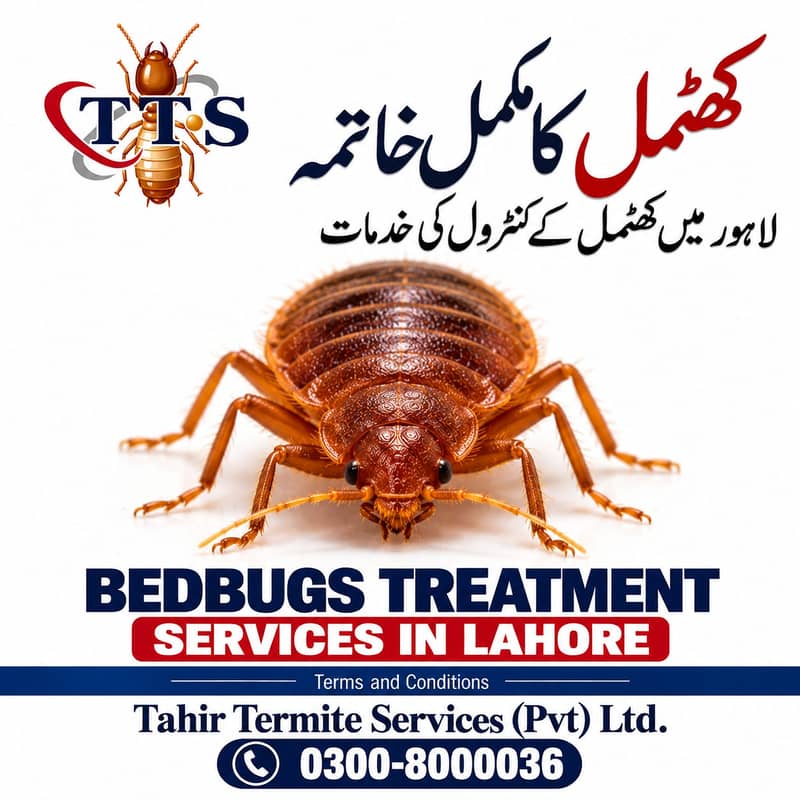 Termite | Deemak | Bedbugs Treatment Pest Control Fumigation Services ...