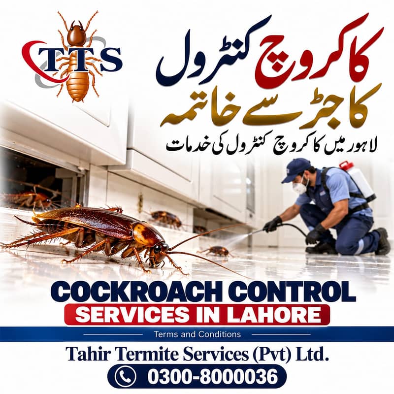 Termite | Deemak | Bedbugs Treatment Pest Control Fumigation Services ...
