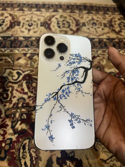 Apple iPhone 13 Pro (NoN PTA (J. . V. ) )