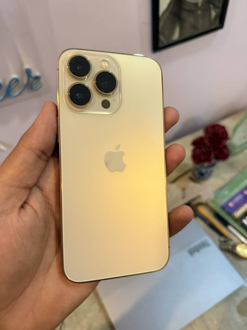 Apple iPhone 13 Pro 0