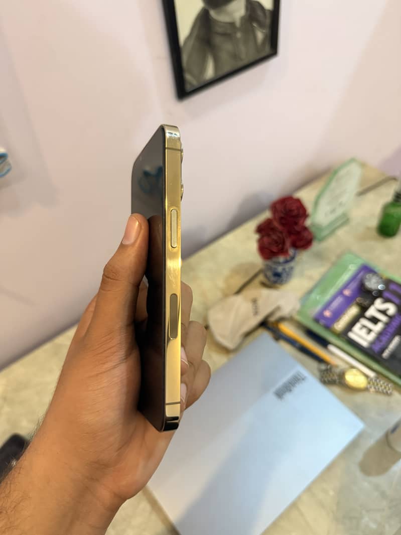 Apple iPhone 13 Pro 3