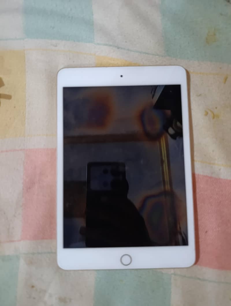 Ipad mini 5 3