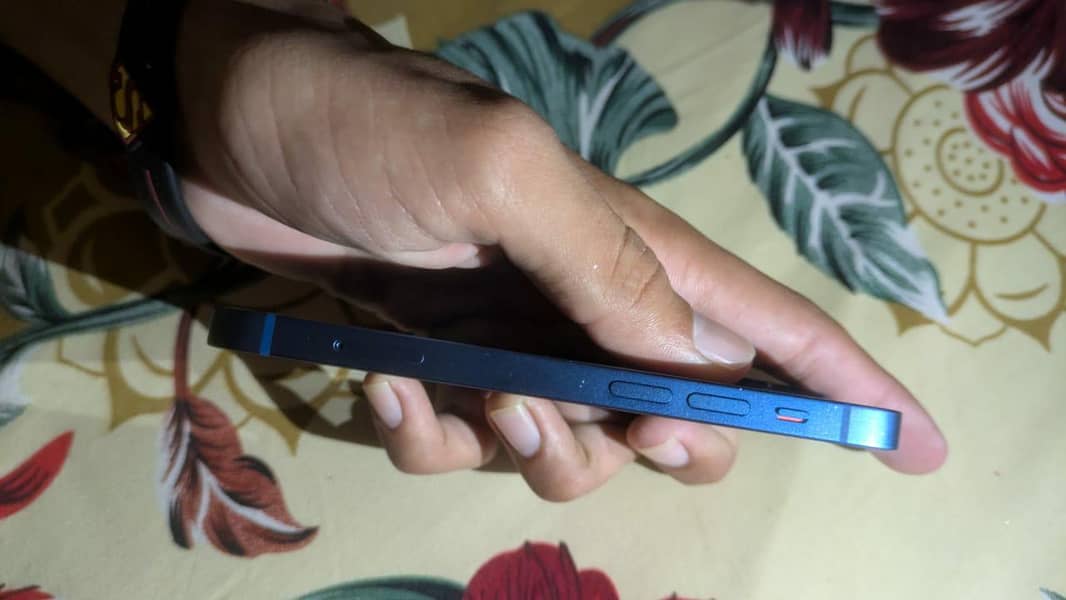 Apple iPhone 13 0