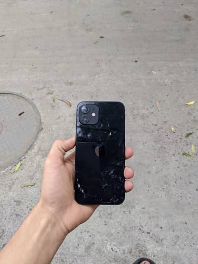 Apple iPhone 12
