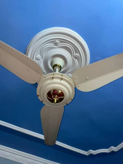 2 ceiling fans