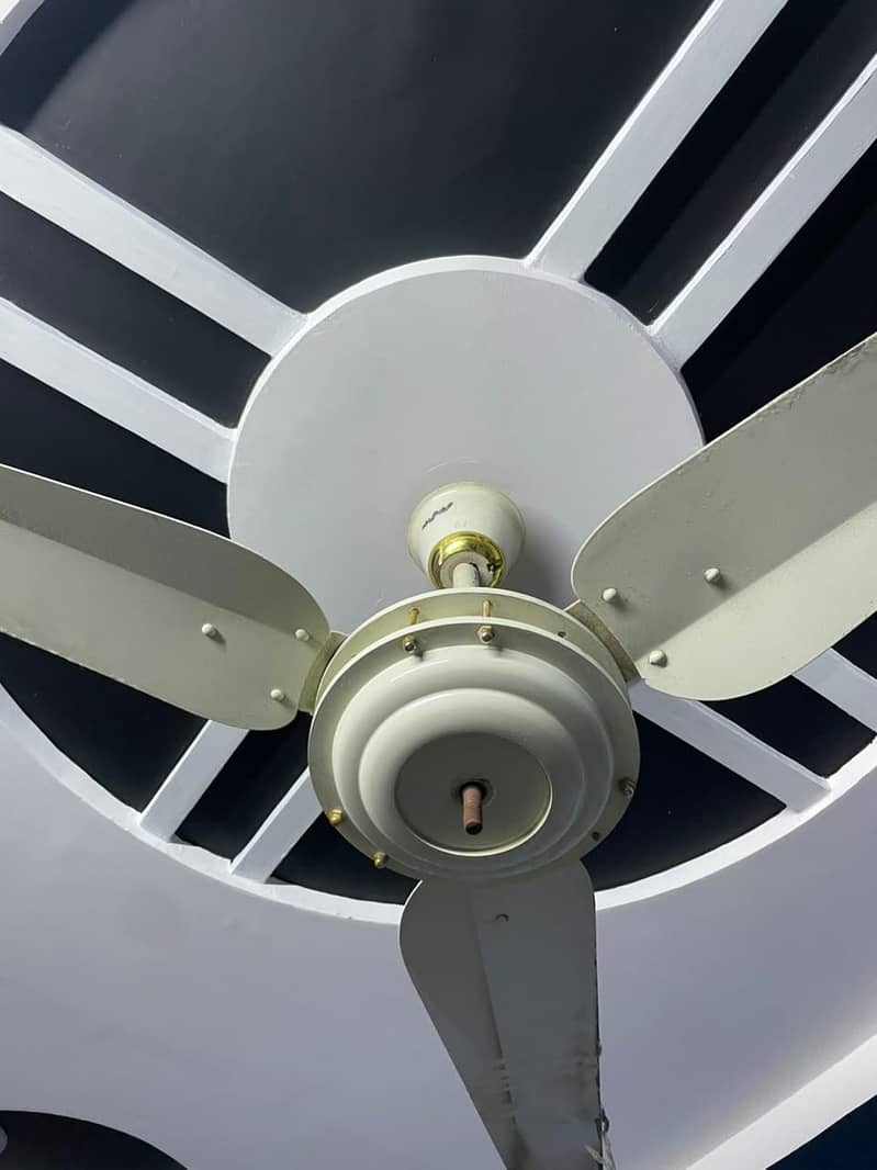 2 ceiling fans 3
