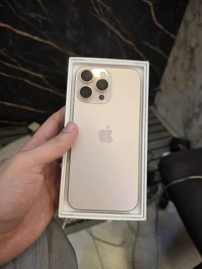 Apple iPhone 16 pro max