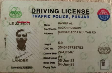 driver