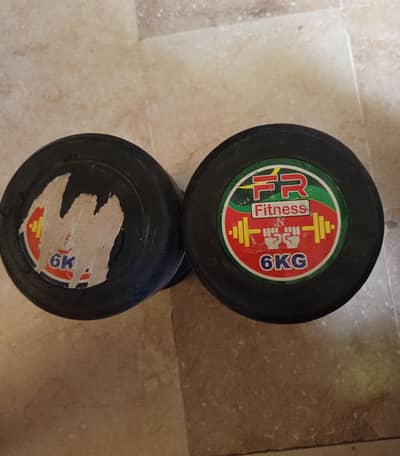6 Kg Dumbbells Pair