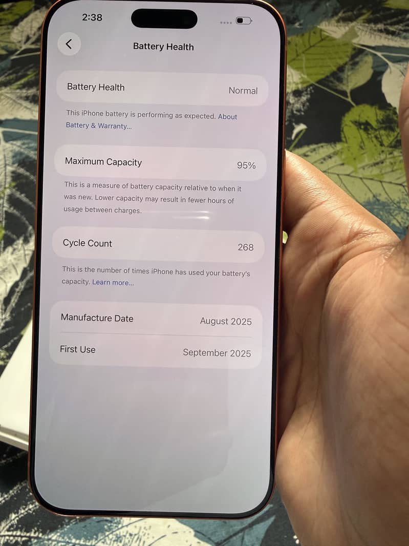 Apple iPhone 17 Pro Max 2