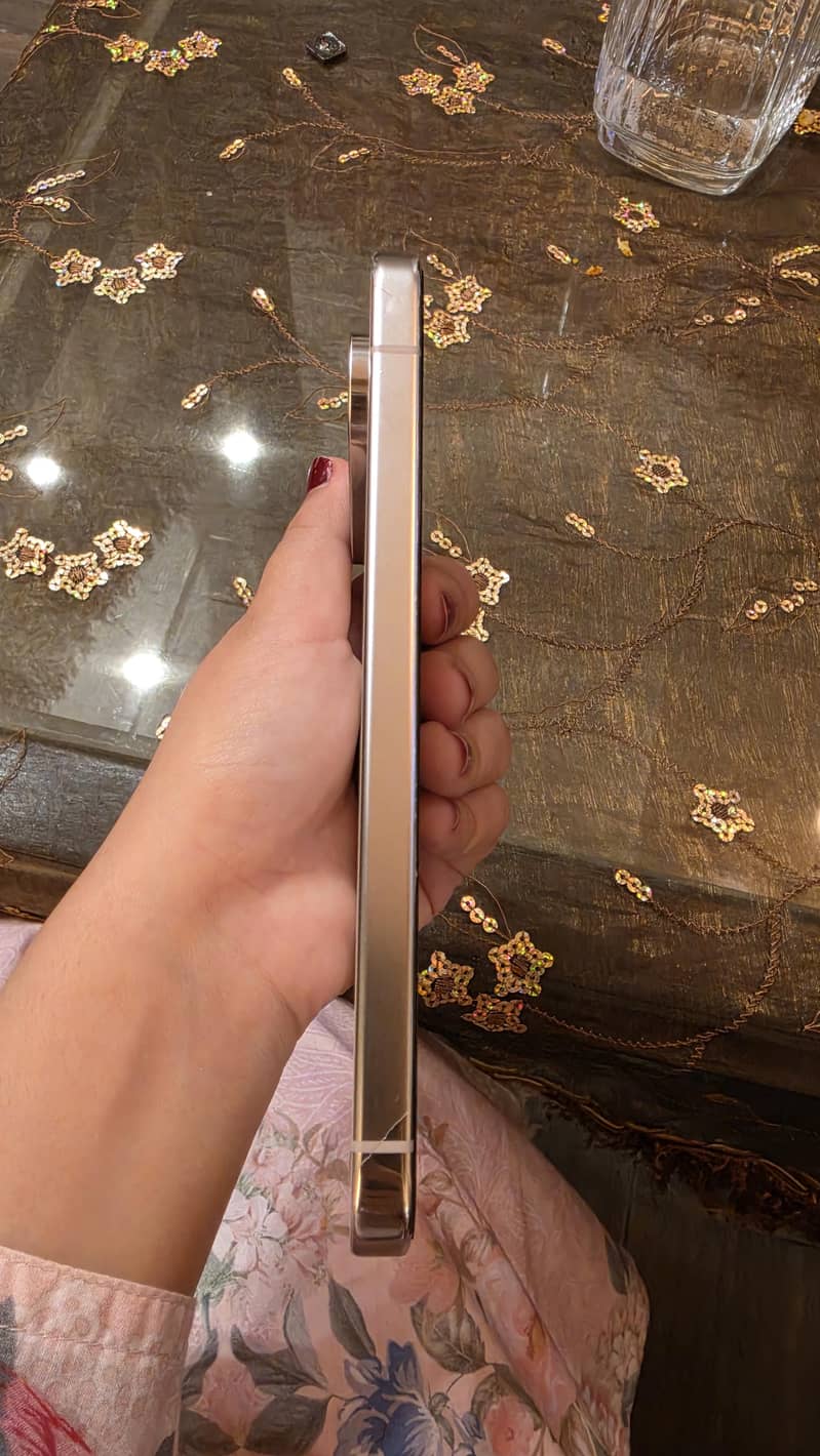 Google Pixel 9 Pro XL 5