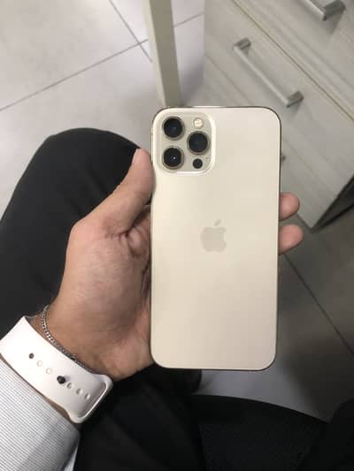 iPhone 12 Pro Max 256GB
