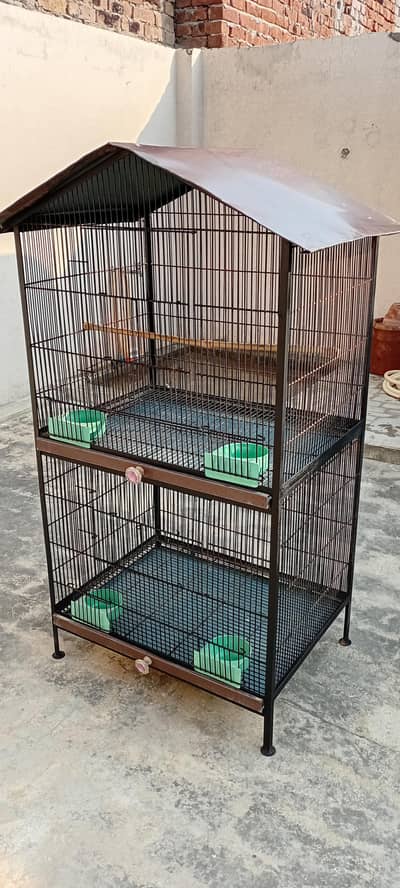 birds cage