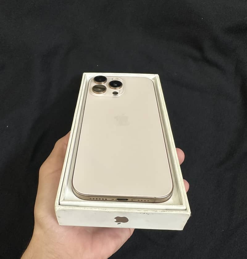 Apple iPhone 16 Pro Max 1