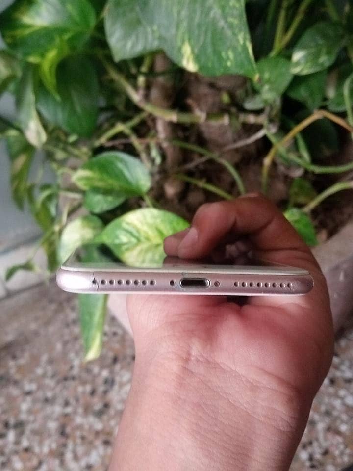 Apple iPhone 7 Plus 3