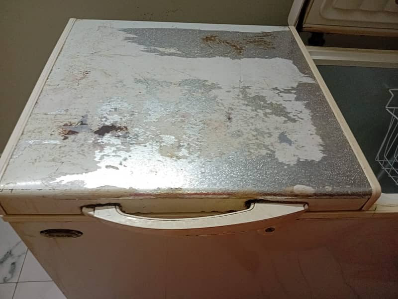 Deep freezer 5