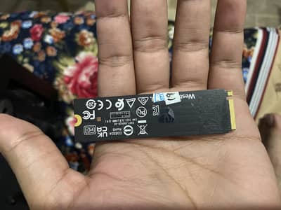 Wd ssd 256