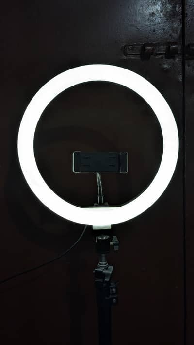 Non rechargeable ring light