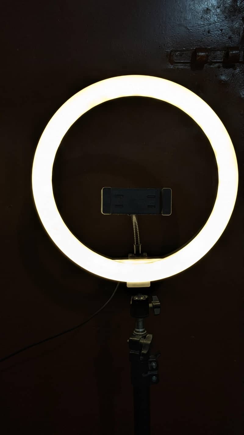 Non rechargeable ring light 1