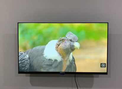 Android LED 40inch 03251272444