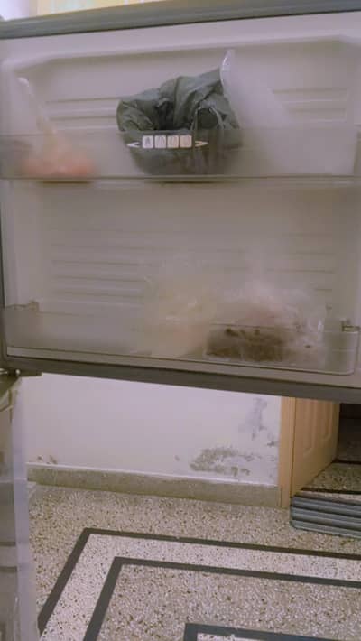 dawalance refrigerator