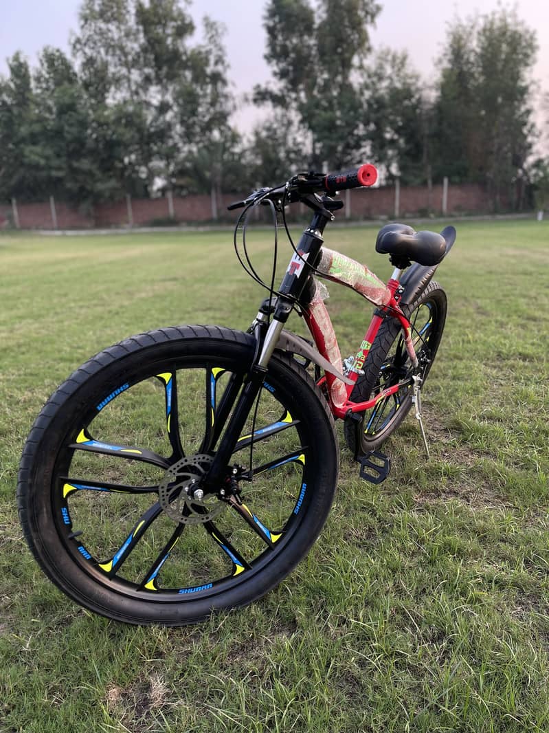 Branded Goodwin MTB Cycle 2