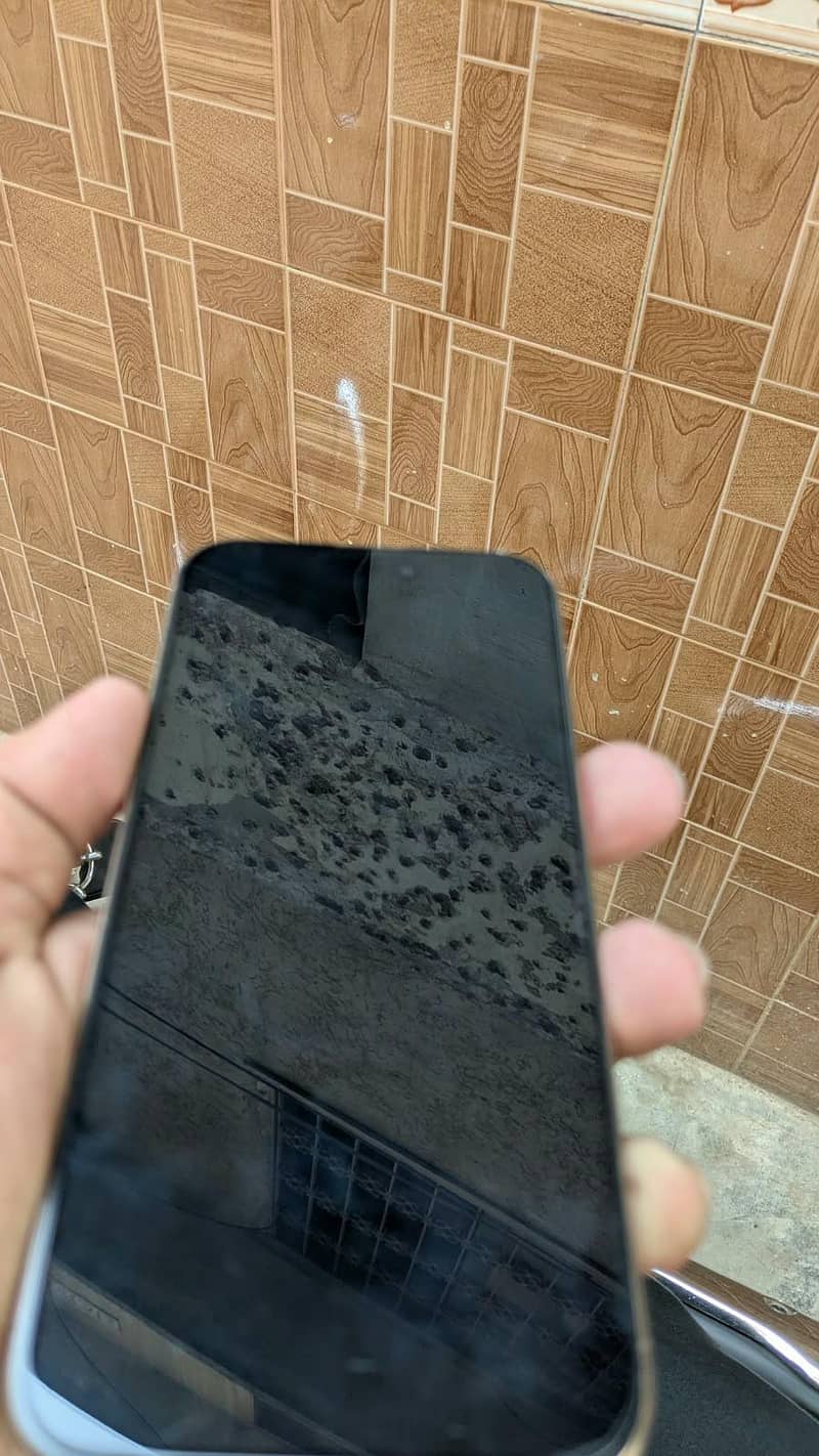 Apple iPhone 16 Pro Max 6