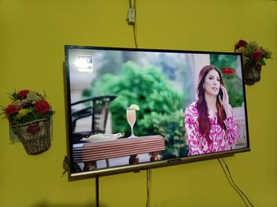 used eco star TV 32 inch