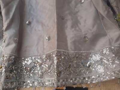 bridle / party Wear lehnga