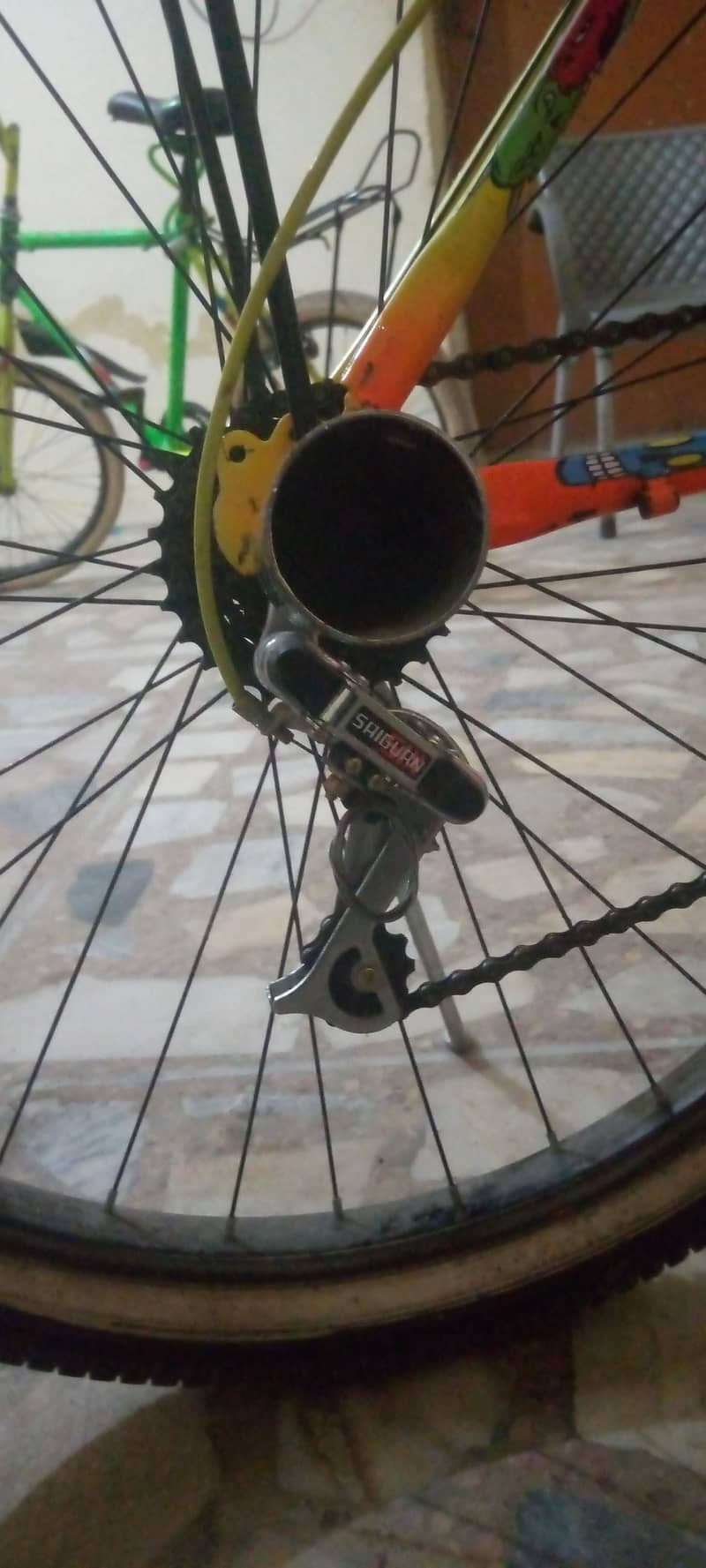 phoenix cycle new 2