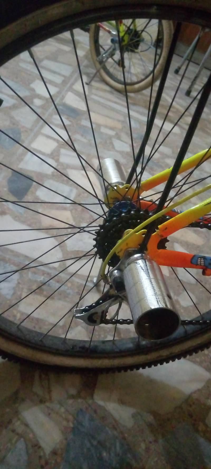 phoenix cycle new 3