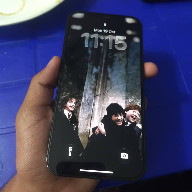 Apple iPhone 12 Pro Max 2