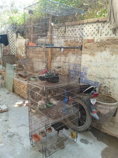 4 portion folding cage 10 by 10 condition