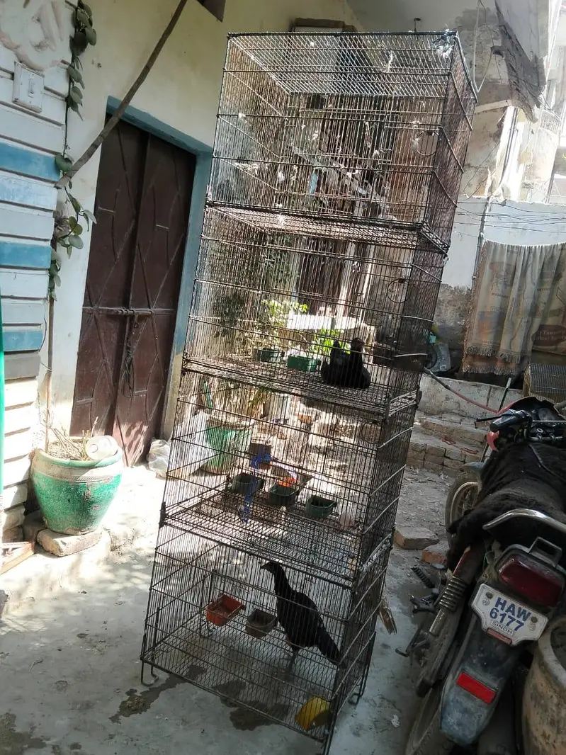 4 portion folding cage 10 by 10 condition — photo 2
